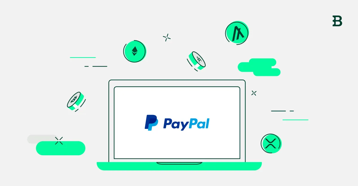 PayPal is now available on Qovex