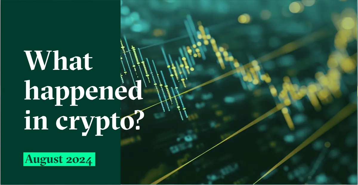 Qovex Monthly Briefing – August 2024