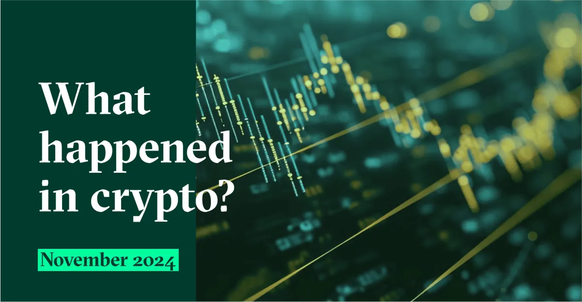Qovex Monthly Briefing – November 2024