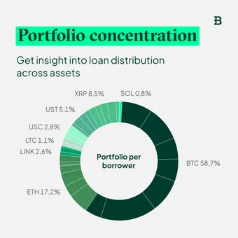 Portfolio concentration