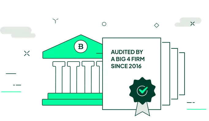 Audited by big 4 firm since 2016