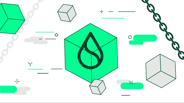 What is Sui? (SUI)